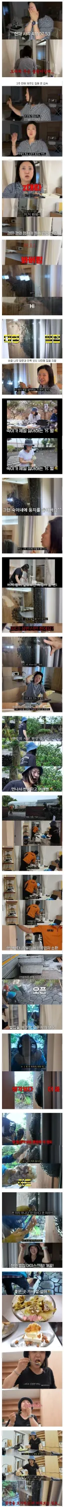 2주만에 제주도 집 갔다가 119 부른 김숙.jpg