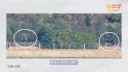 스타벅스 조준중인 북한의 자주포.jpg