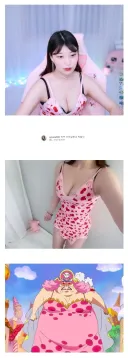 대한민국 여캠 사황