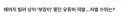부캉이 쫓는 유투버들...자기 시청자한테 신고당했네요;;