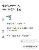 여자랑 DM하는 법