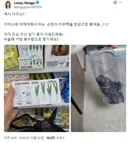 젖은 우산 수납용으로 쓸만한 다이소 신상