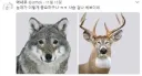 눈매의 중요성