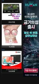 루리웹 광고 이런거 떠도됨?
