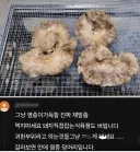 정육업 사장님들이 돈 주고 버린다는 부위