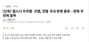 필스너 우르켈,코젤 맥주 근황
