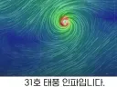 몸을 불리고 있는 인파