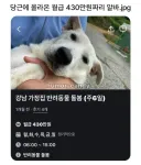당근에 올라온 월급 430만원짜리 알바