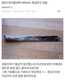 우리집안에 내려오는 특급주구 있음