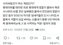 사이버펑크 국내비유