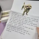 입양 보낸 강아지에게서 온 편지
