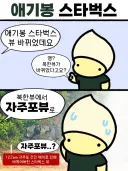 애기봉 스타벅스 뷰 근황
