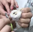 고작 발톱 깎는다고 짜부되고 눈물 그렁그렁함