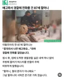 배고파서 경찰서에 전화 한 87세 할머니