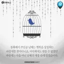 [카드뉴스] 더 좋은 직장 없나요…'파랑새' 찾아 이직하는 사람들