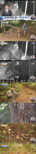 지리산 등산로 15m 옆에서 곰 찍힘