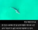 부캉이 내보내자마자 새로 나타난 부칸이ㄷㄷ