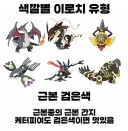 색깔별 이로치 포켓몬 유형