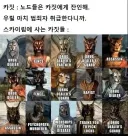 스카이림)노드 놈들이 편협한 이유