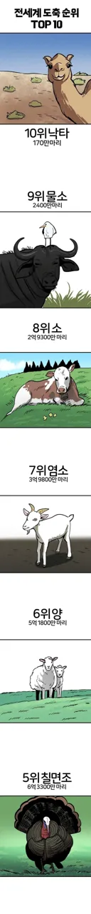 전세계 도축 동물 순위.jpg