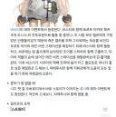 소전2) 나무위키 이새끼야