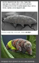 중국에서 개발한 신기술때문에 평생 증명하고 살아가게된 생물