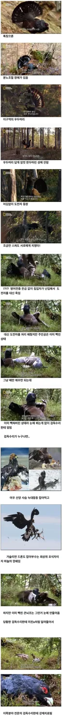 호식이 엔딩