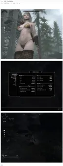 스카이림 10년전 모드 수준