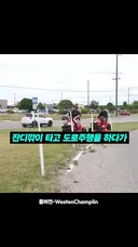 찐 동네 인싸가 사고 칠 때 주변 반응