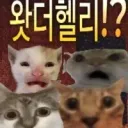 전분 찬성하고 미터기 반대하는 이유는 간단하지
