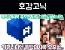 여성 방송인 "루리웹은 늙은 사람 많아"