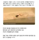 못난 주인 때문에 같이 체포된 앵무새