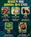 암세포가 제일 싫어하는 음식 다섯 가지