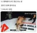 항상 후방주의가 필수인 상남자 스포츠