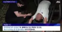 "너구리 어디있어 이 새1끼야!".jpg