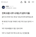 한국인을 정확히 파악한 블라인