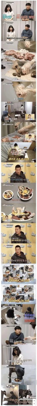개밥에 월 200백 쓰는 와이프