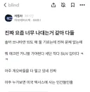 요새 자동차 덩치 일침하는 블라인