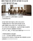 강아지 유치원 소심반.JPG