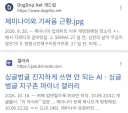유독 멍청해진 제미나이