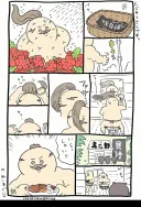 치이카와) 시마지로 아침 루틴.jpg