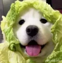 오늘은 조금 일찍 시작해볼까