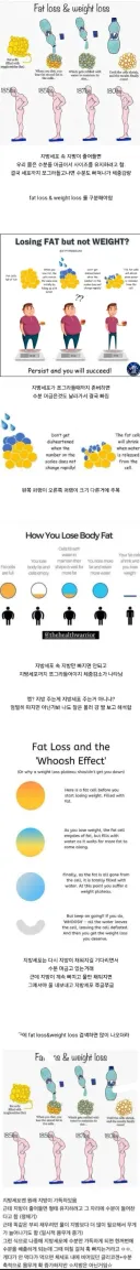 다이어트하는데 무게가 오히려 느는 이유